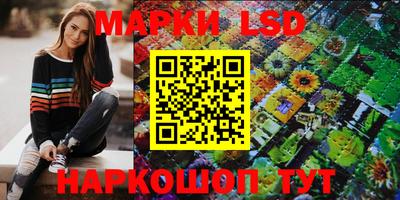 мдпв Бийск
