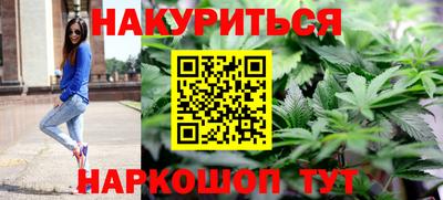 мдпв Бийск