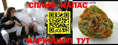 мдпв Бийск