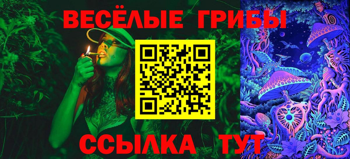 Псилоцибиновые грибы MAGIC MUSHROOMS Каменск-Уральский