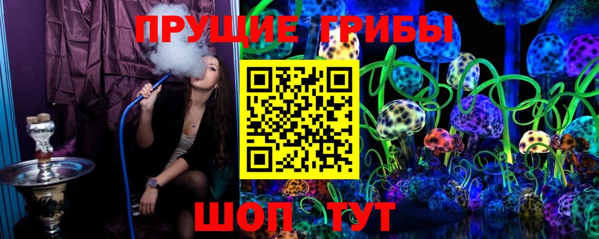 Псилоцибиновые грибы Psilocybine cubensis  Вход с VPN  Каменск-Уральский 